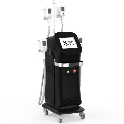 cryolipolyse apparaat kopen Derma Codes