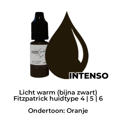 Xtreme Ombre Brow Pigment Intenso