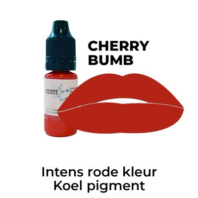 Xtreme Ombre Lip Pigment Cherry Bumb