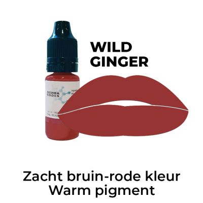 Xtreme Ombre Lip Pigment Wild Ginger